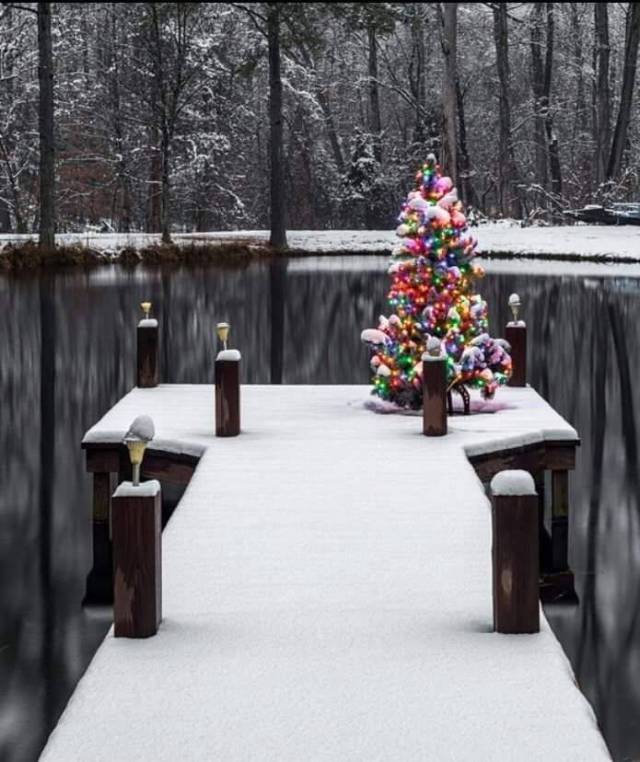 daily picdump 93 pics 39.html - 93 HD Photos | Premium Gallery 2017