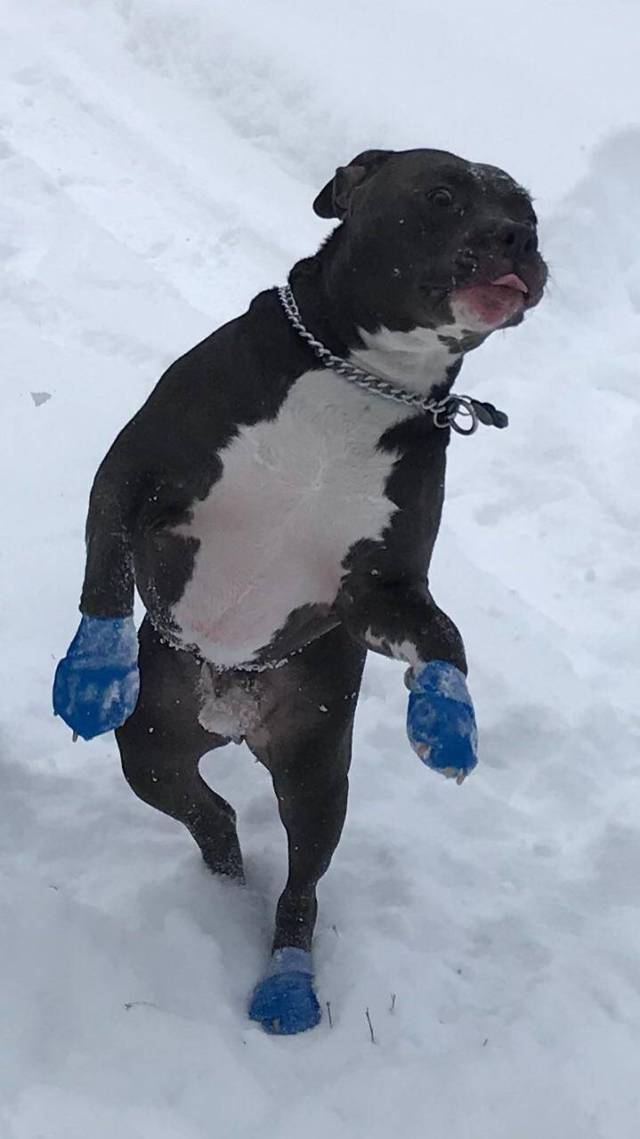 daily picdump 93 pics 39.html - 93 HD Photos | Premium Gallery 2017