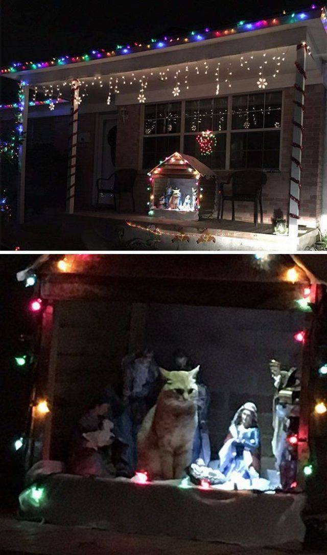 daily picdump 93 pics 39.html - 93 HD Photos | Premium Gallery 2017