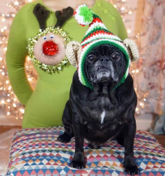 Reindeerboobs Are Overtaking The Internet And It’s Great!