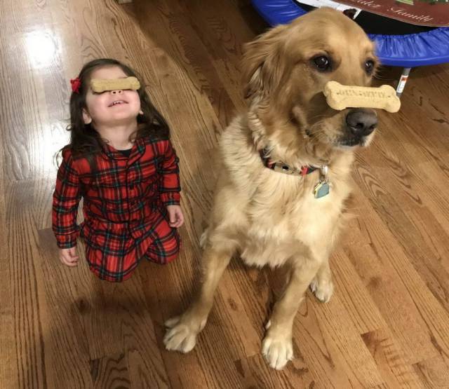 daily picdump 91 pics 29.html - 91 HD Photos | Premium Gallery 2017