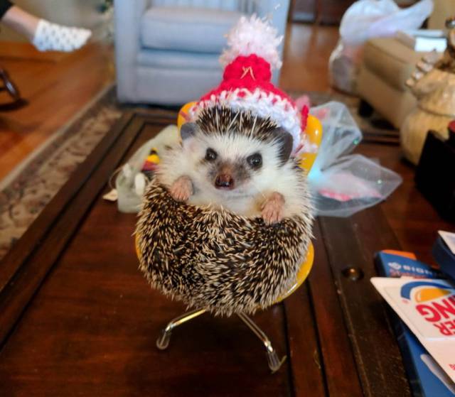 daily picdump 91 pics 29.html - 91 HD Photos | Premium Gallery 2017