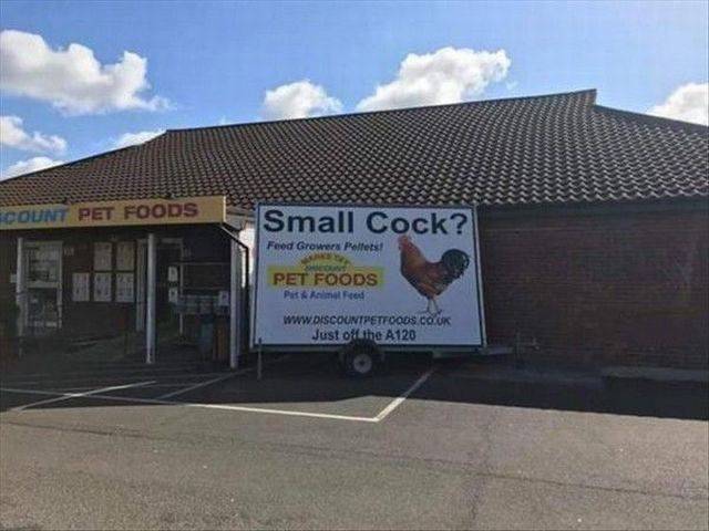 daily picdump 91 pics 29.html - 91 HD Photos | Premium Gallery 2017