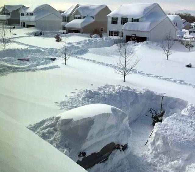 daily picdump 91 pics 29.html - 91 HD Photos | Premium Gallery 2017