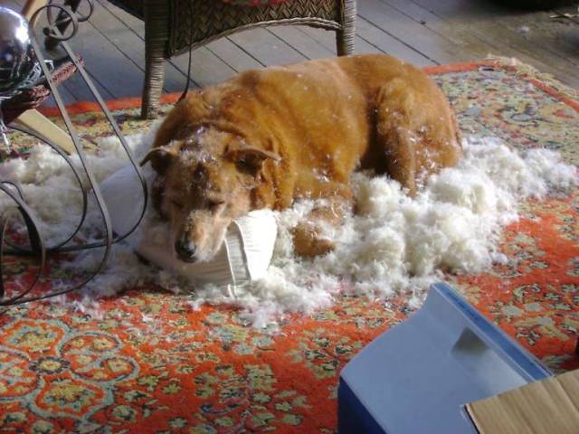 daily picdump 91 pics 29.html - 91 HD Photos | Premium Gallery 2017