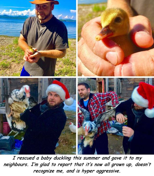 daily picdump 91 pics 29.html - 91 HD Photos | Premium Gallery 2017