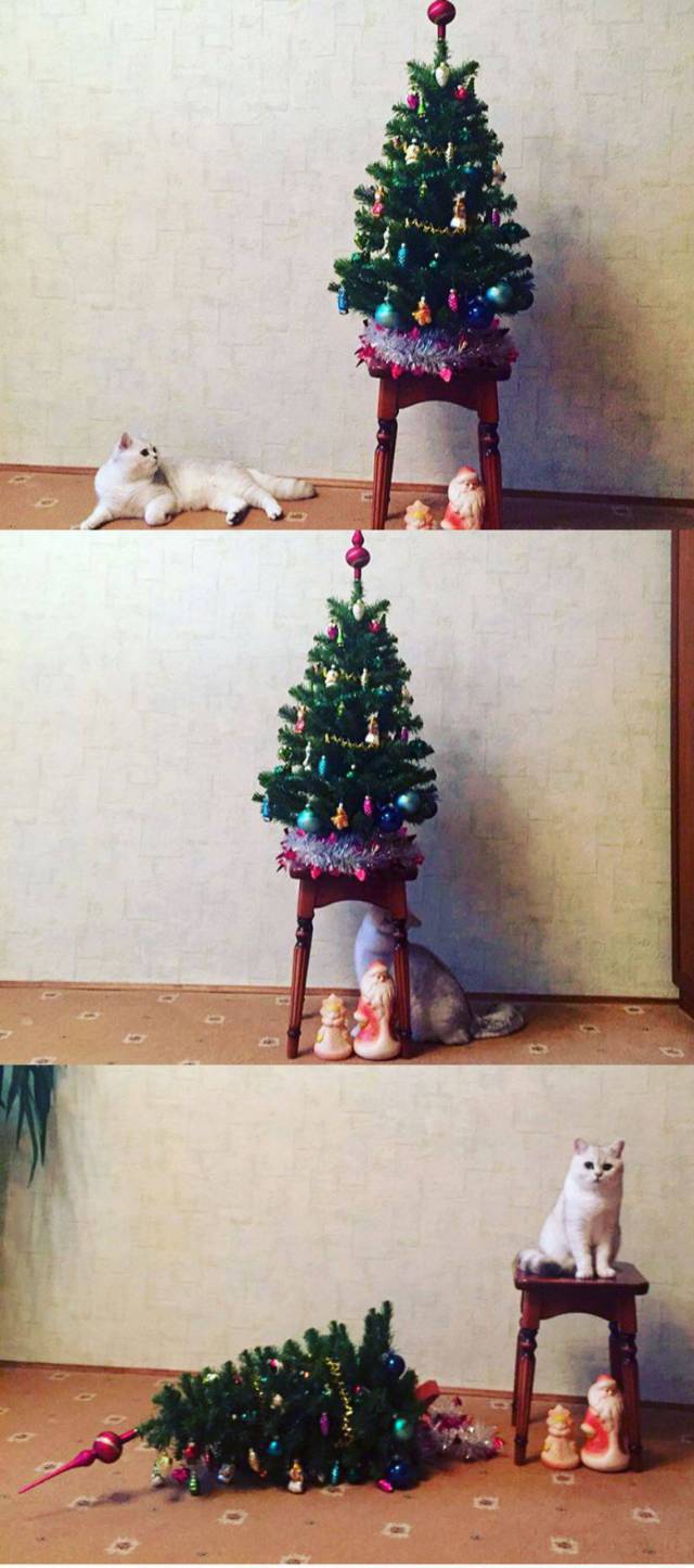 daily picdump 91 pics 29.html - 91 HD Photos | Premium Gallery 2017