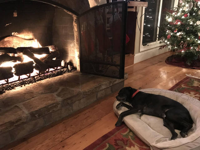 morning picdump 50 pics 1.html - 50 HD Photos | Premium Gallery 2017