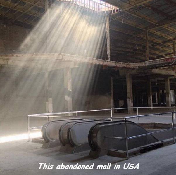 daily picdump 92 pics 42.html - 92 HD Photos | Premium Gallery 2017