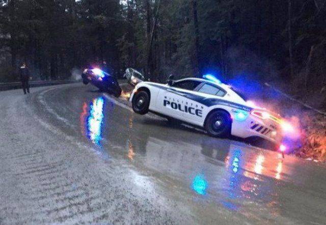 daily picdump 92 pics 42.html - 92 HD Photos | Premium Gallery 2017