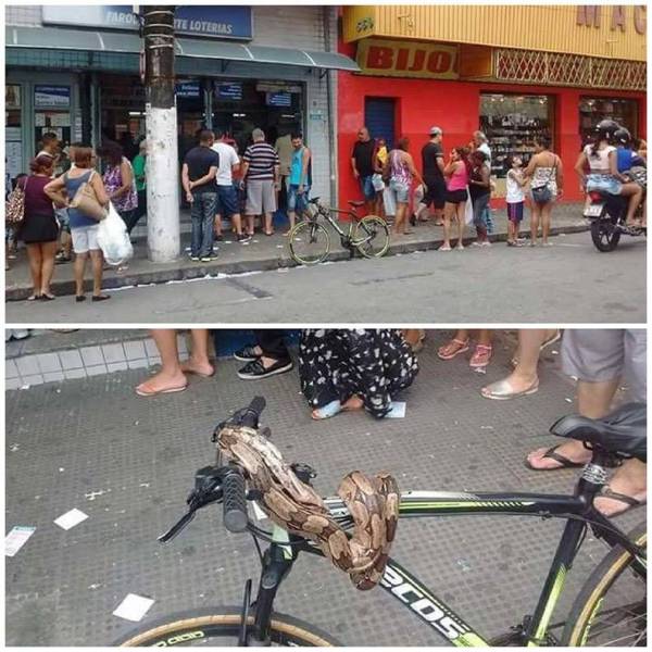 daily picdump 92 pics 42.html - 92 HD Photos | Premium Gallery 2017