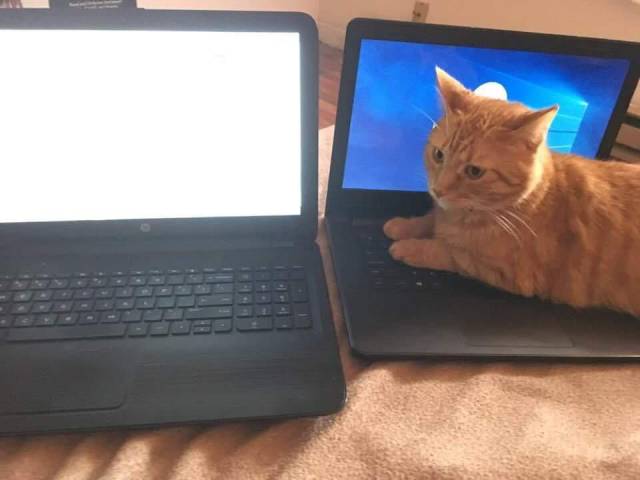 daily picdump 92 pics 42.html - 92 HD Photos | Premium Gallery 2017