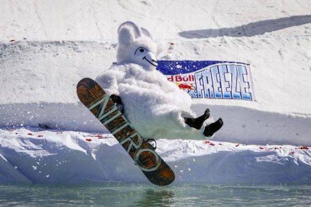 daily picdump 92 pics 42.html - 92 HD Photos | Premium Gallery 2017