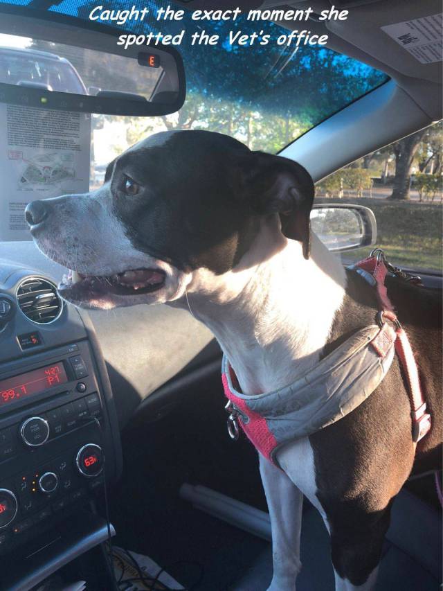 daily picdump 92 pics 42.html - 92 HD Photos | Premium Gallery 2017