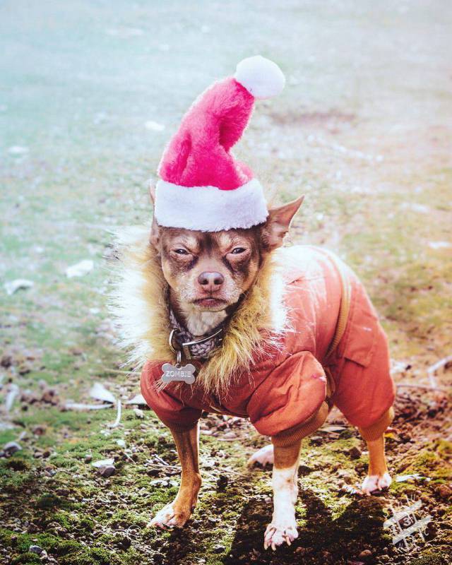 daily picdump 92 pics 42.html - 92 HD Photos | Premium Gallery 2017