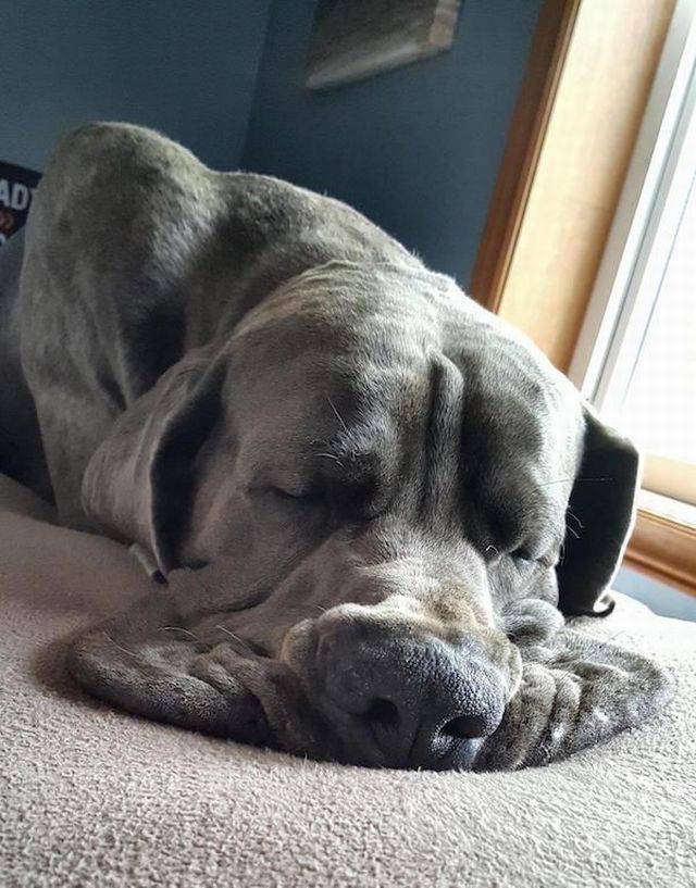 daily picdump 92 pics 42.html - 92 HD Photos | Premium Gallery 2017