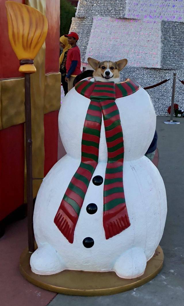 daily picdump 92 pics 42.html - 92 HD Photos | Premium Gallery 2017