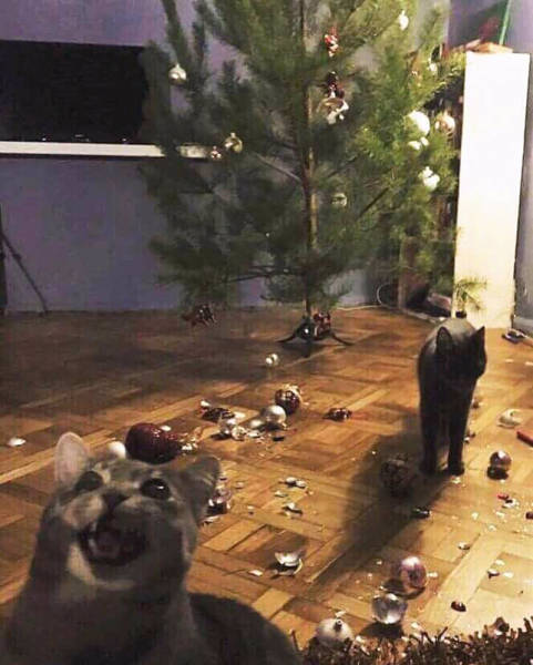 When Sh#t Is Literally Everywhere