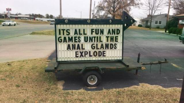 When Sh#t Is Literally Everywhere