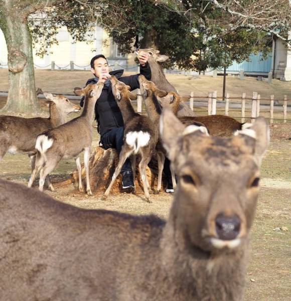 daily picdump weekend edition 50 pics 15.html - 50 HD Photos | Premium Gallery 2017