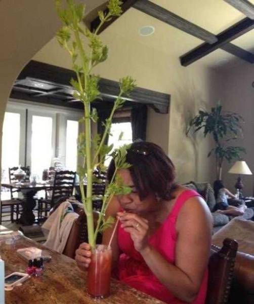 daily picdump weekend edition 50 pics 15.html - 50 HD Photos | Premium Gallery 2017