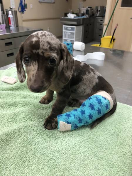 daily picdump weekend edition 50 pics 15.html - 50 HD Photos | Premium Gallery 2017