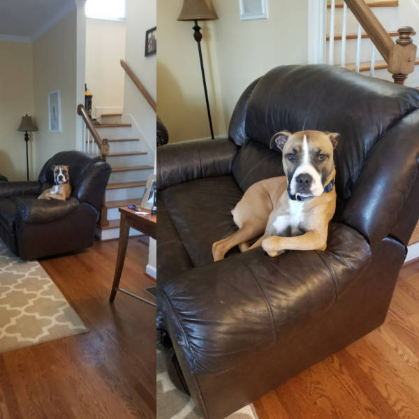 daily picdump weekend edition 50 pics 15.html - 50 HD Photos | Premium Gallery 2017