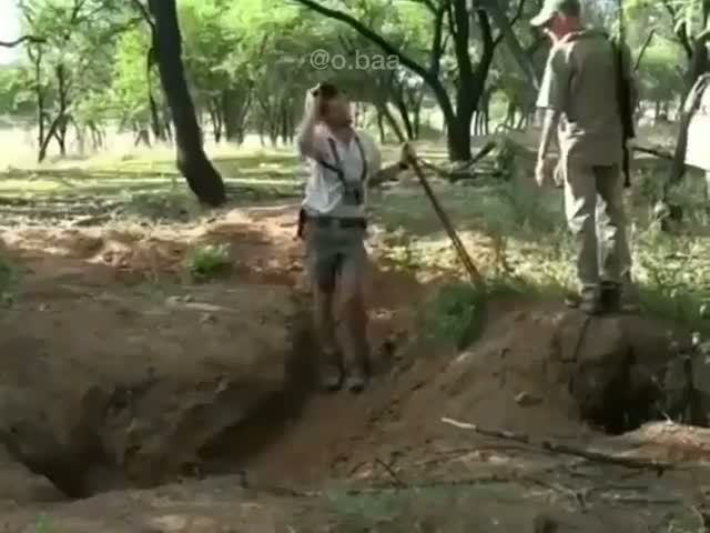 page,2,top 50 videos of the year 2018.html - 1 HD Video | Premium Gallery 2018