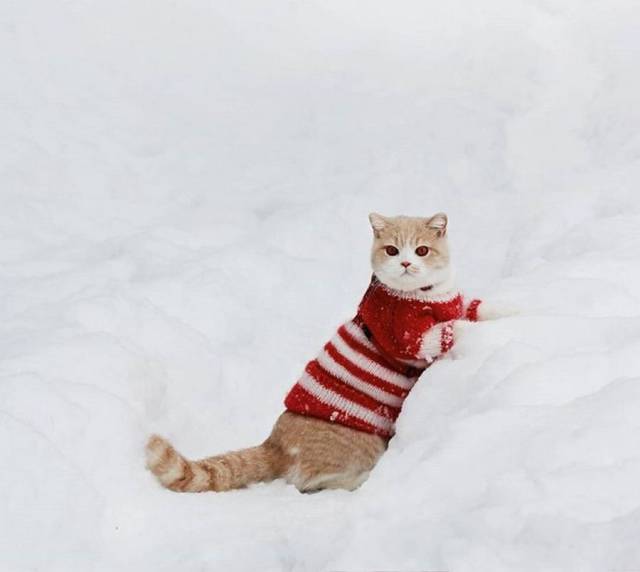 daily picdump 103 pics 2.html - 103 HD Photos | Premium Gallery 2018
