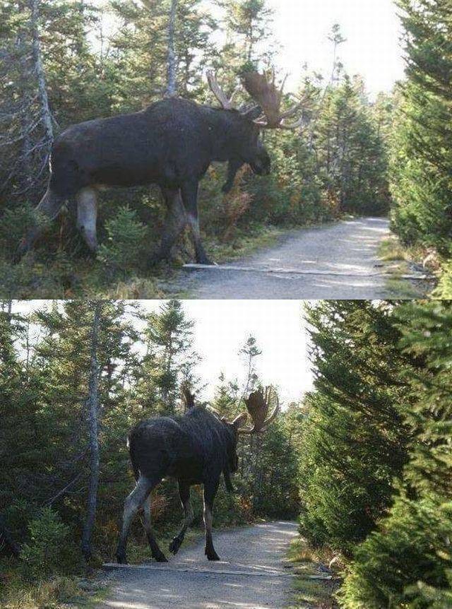 daily picdump 94 pics 45.html - 94 HD Photos | Premium Gallery 2018