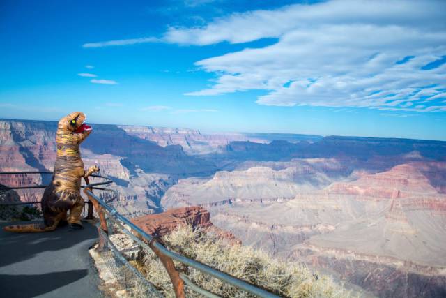 Daily Picdump [WEEKEND EDITION]