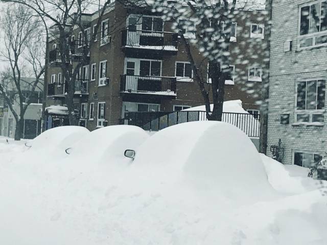 Daily Picdump [WEEKEND EDITION]