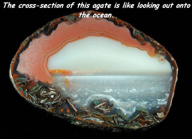 daily picdump weekend edition 66 pics 5.html - 66 HD Photos | Premium Gallery 2018