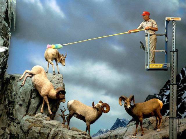 daily picdump weekend edition 66 pics 5.html - 66 HD Photos | Premium Gallery 2018