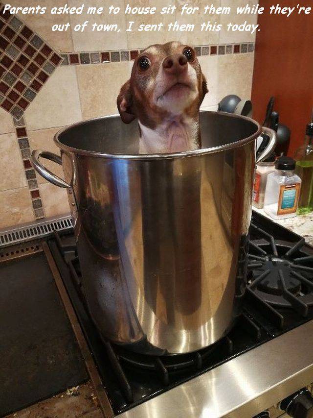 Daily Picdump [WEEKEND EDITION]