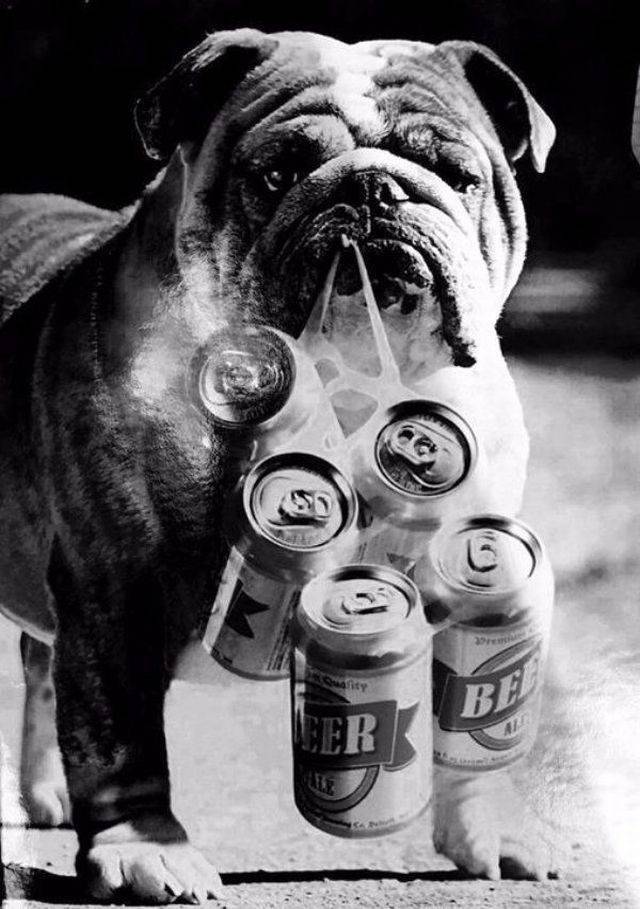 daily picdump weekend edition 66 pics 5.html - 66 HD Photos | Premium Gallery 2018