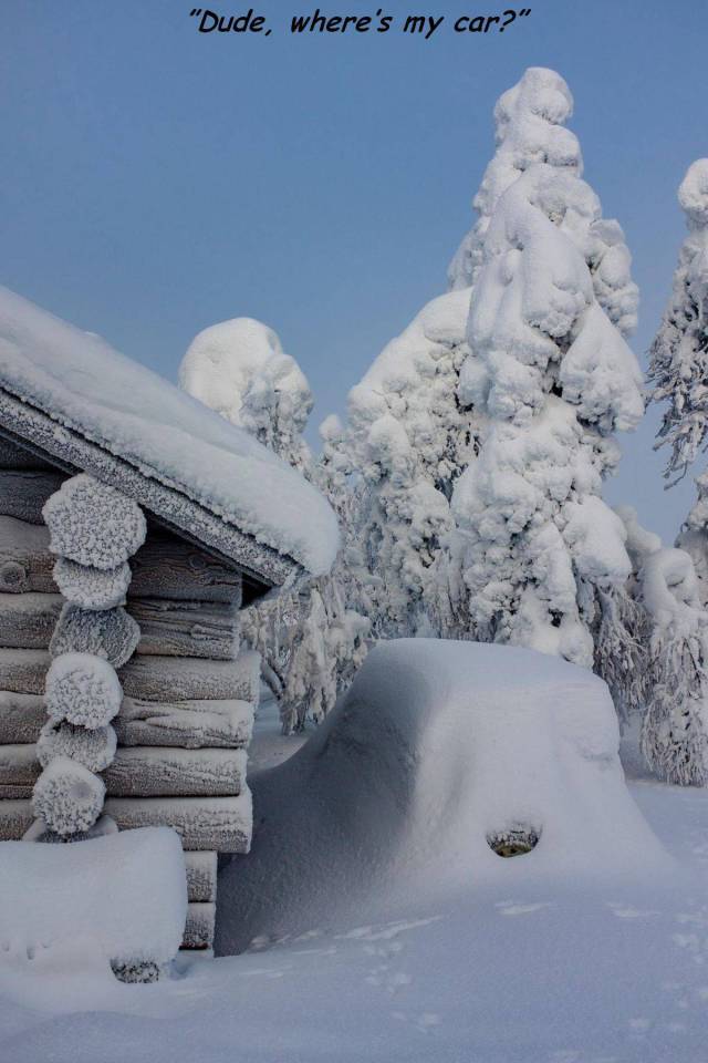 daily picdump weekend edition 66 pics 5.html - 66 HD Photos | Premium Gallery 2018