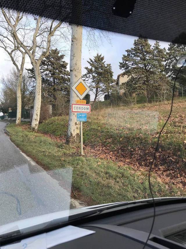 daily picdump weekend edition 66 pics 5.html - 66 HD Photos | Premium Gallery 2018