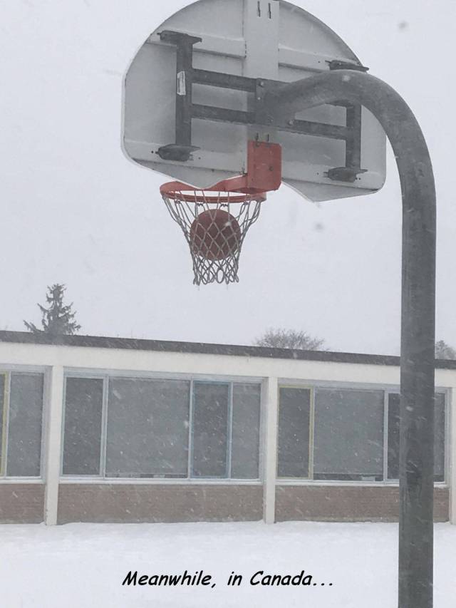 daily picdump weekend edition 66 pics 5.html - 66 HD Photos | Premium Gallery 2018