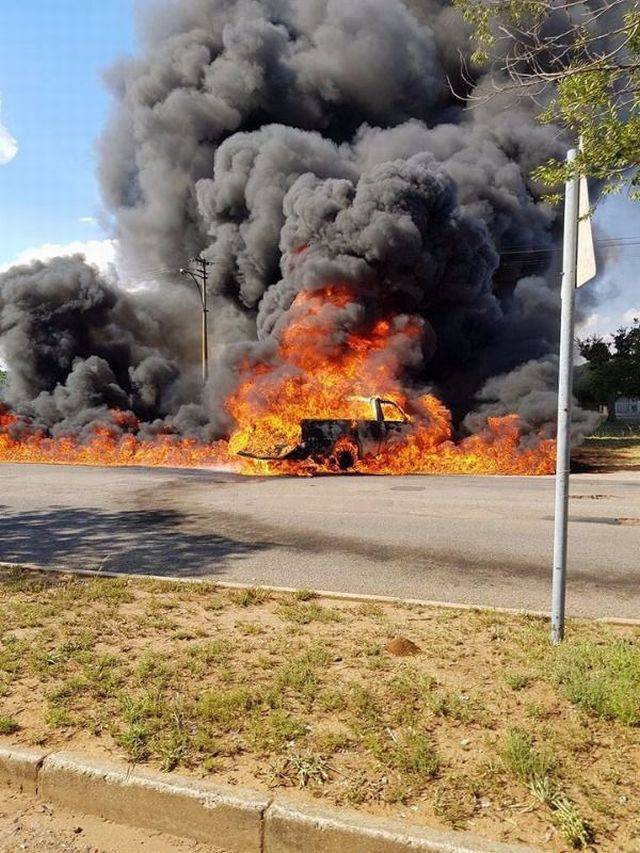 daily picdump weekend edition 66 pics 5.html - 66 HD Photos | Premium Gallery 2018