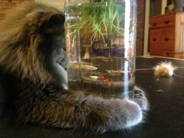 Daily Picdump
