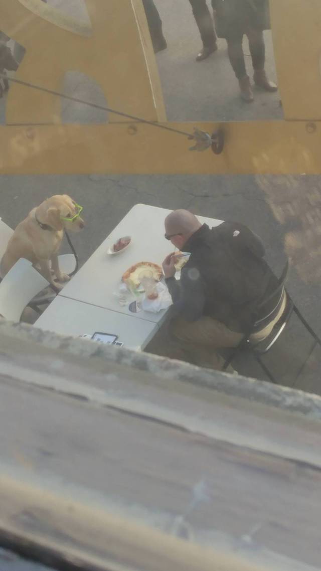 Daily Picdump