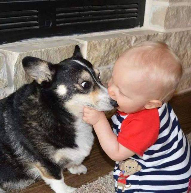 Daily Picdump