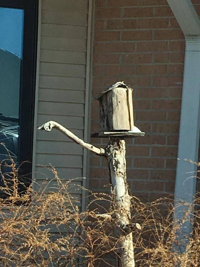 Morning Picdump