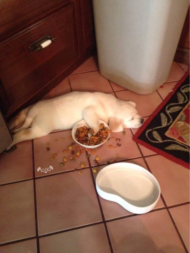 Daily Picdump