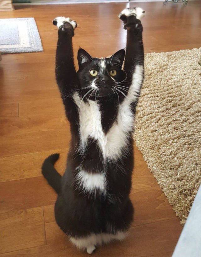 daily picdump 93 pics 16.html - 93 HD Photos | Premium Gallery 2018