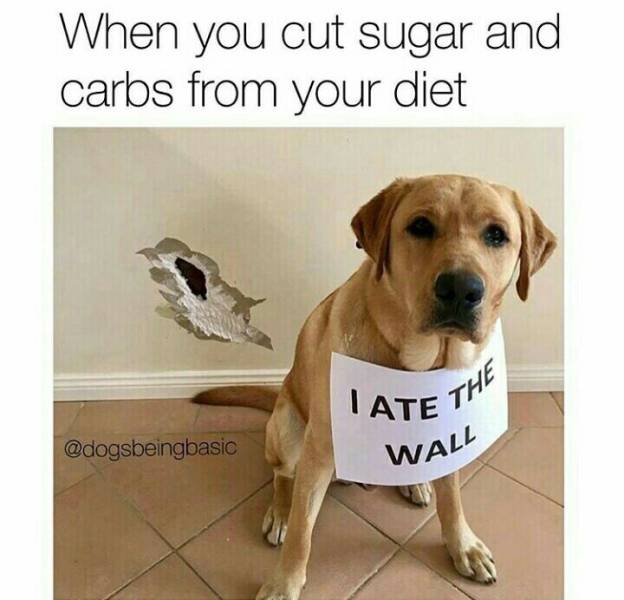 Memes to Amuse Your Tired Mind