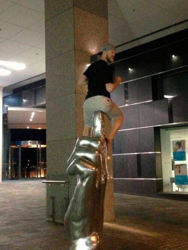 Daily Picdump