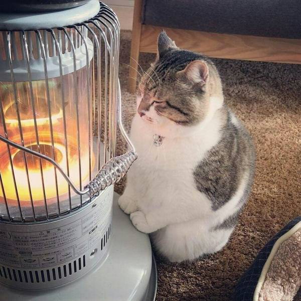 Daily Picdump