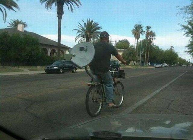Daily Picdump